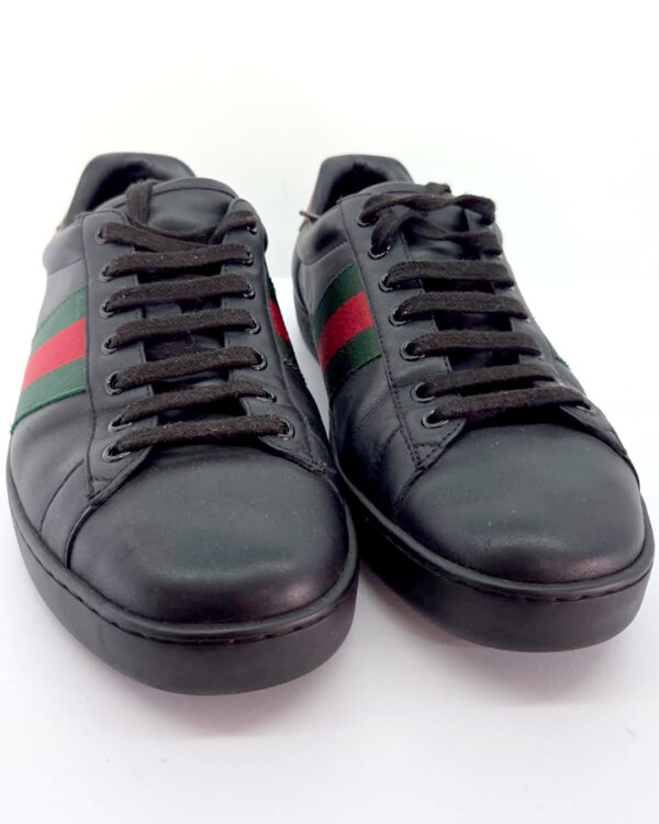 Sneakers Gucci Champion Ace Web  |  Talla 9