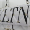 IMG_8908 Valentino Medium VLTN Candystud